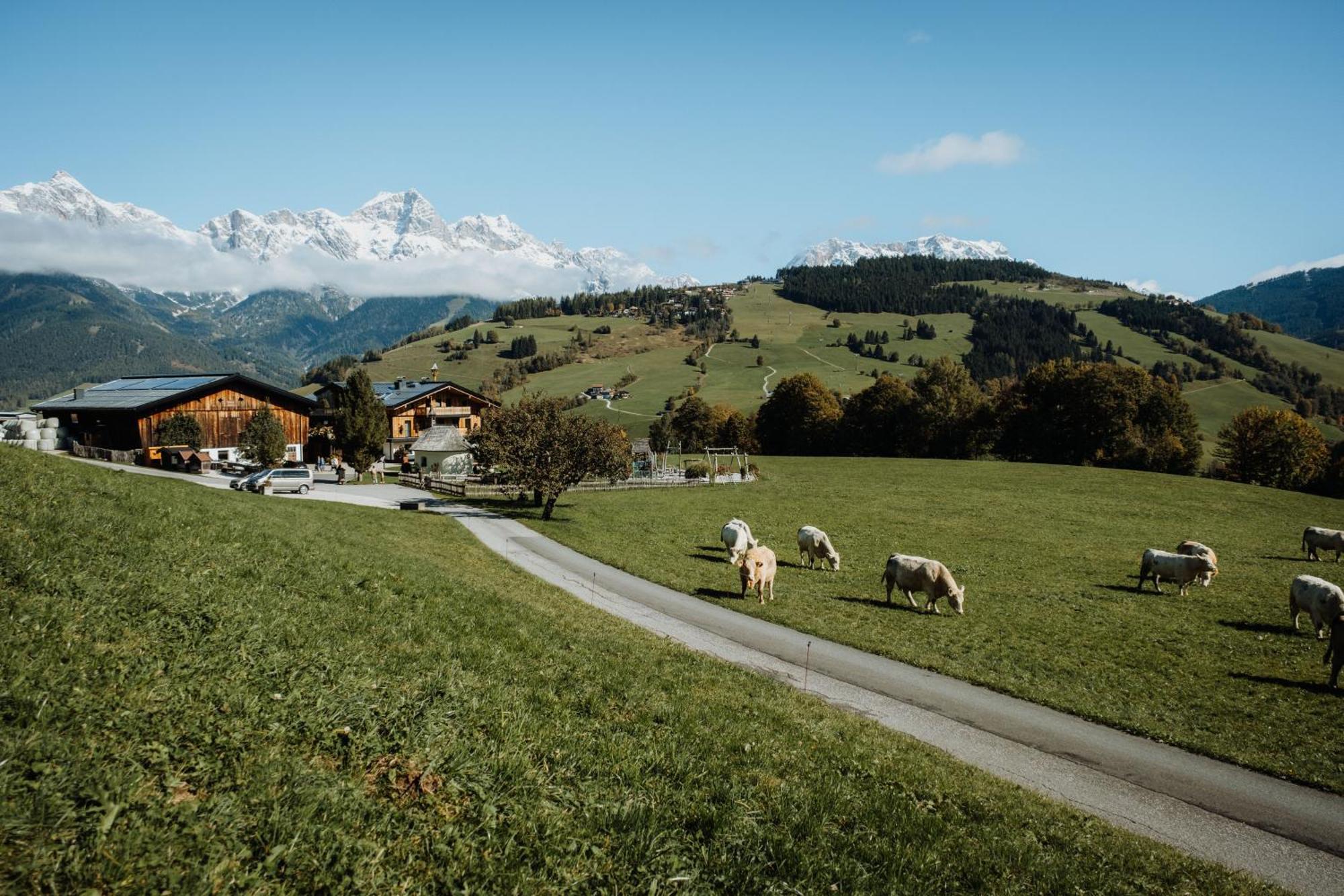 Aparthotel Biohof Ebengut Maria Alm am Steinernen Meer Exterior foto