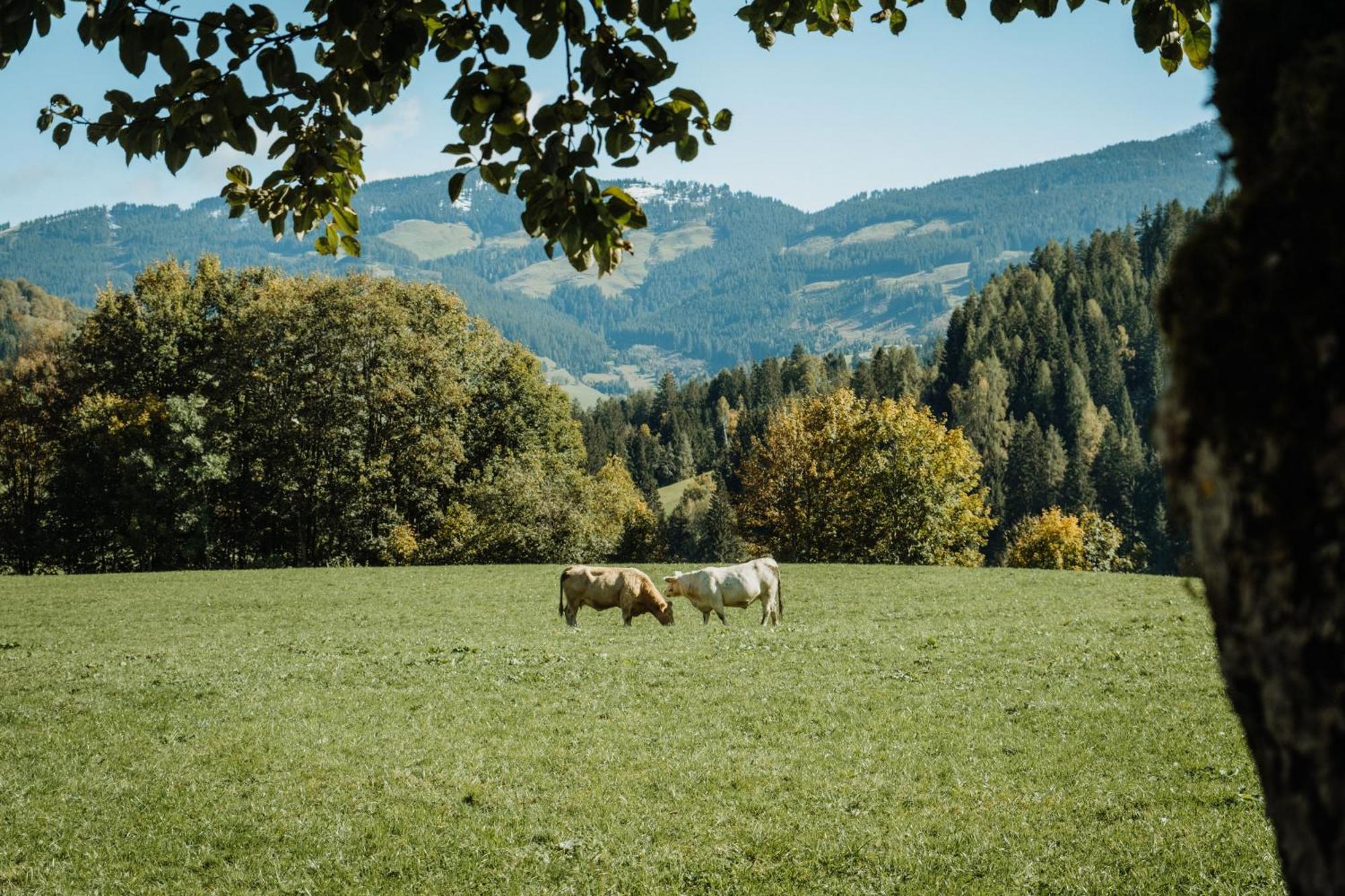 Aparthotel Biohof Ebengut Maria Alm am Steinernen Meer Exterior foto