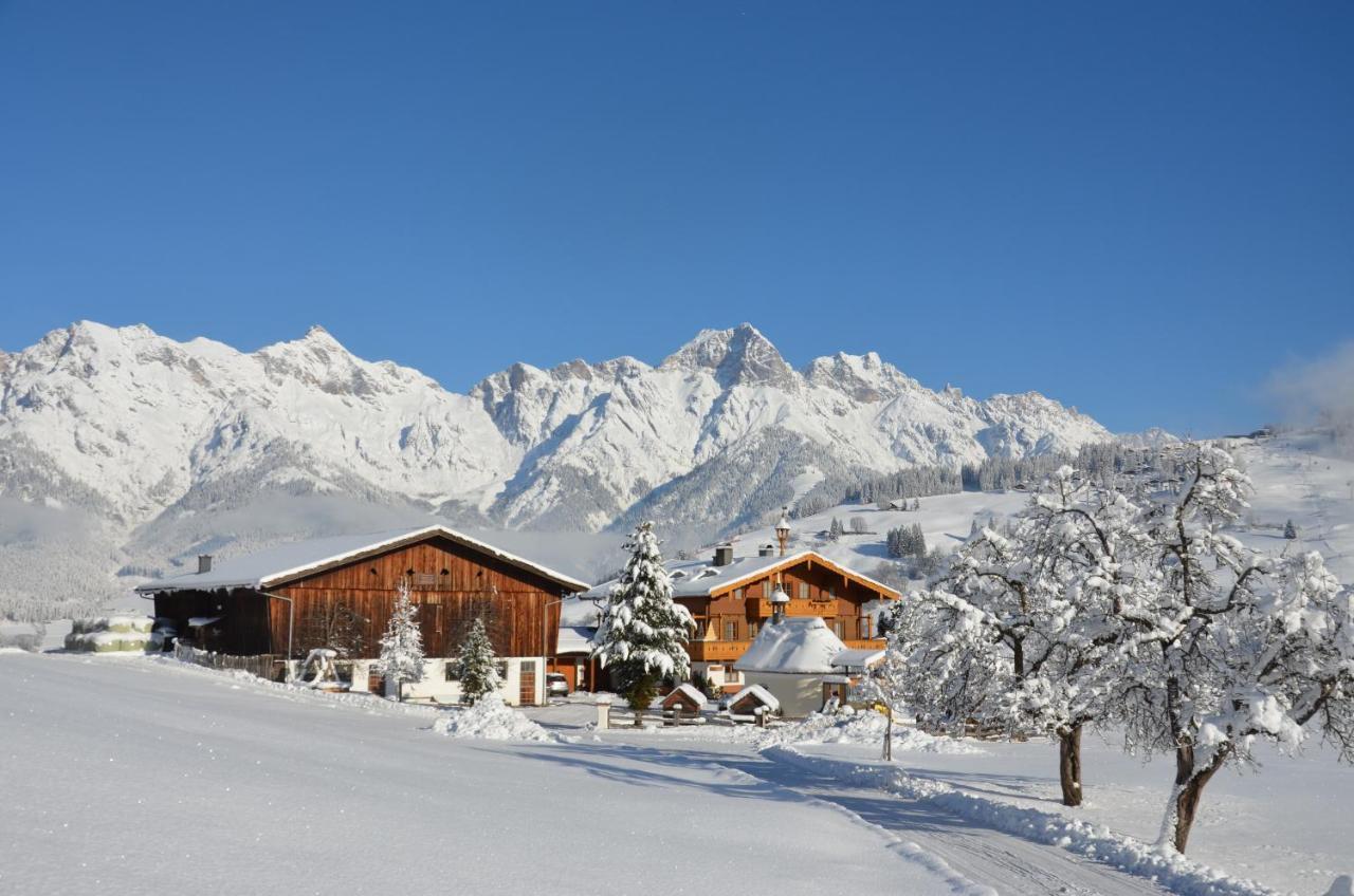 Aparthotel Biohof Ebengut Maria Alm am Steinernen Meer Exterior foto